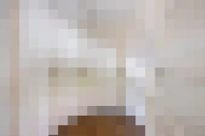 Willibrorduslaan 123 Waalre thumbnail 22