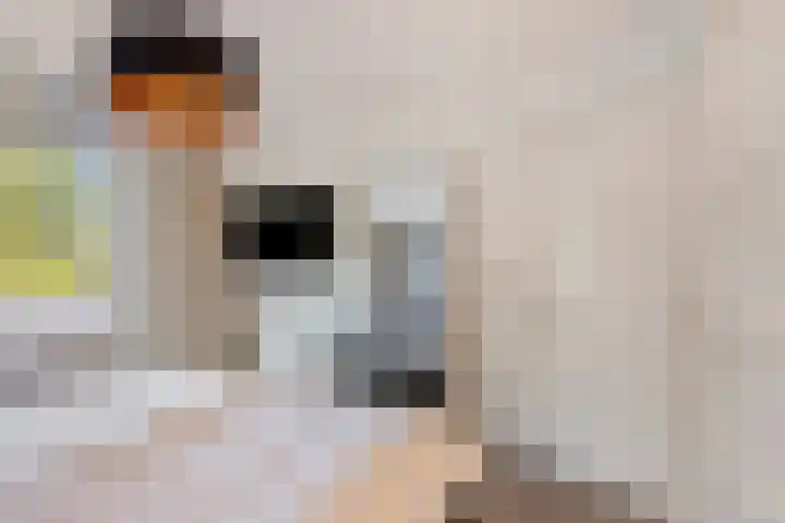 Willibrorduslaan 123 Waalre thumbnail 24