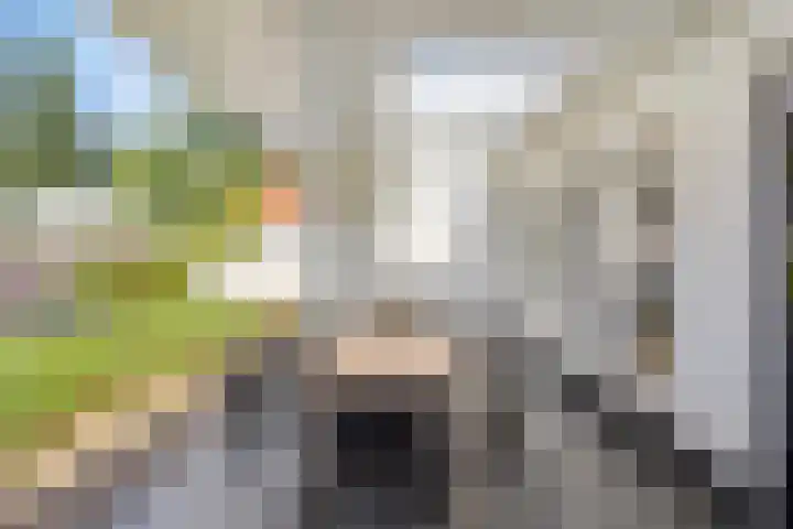 Willibrorduslaan 123 Waalre thumbnail 35