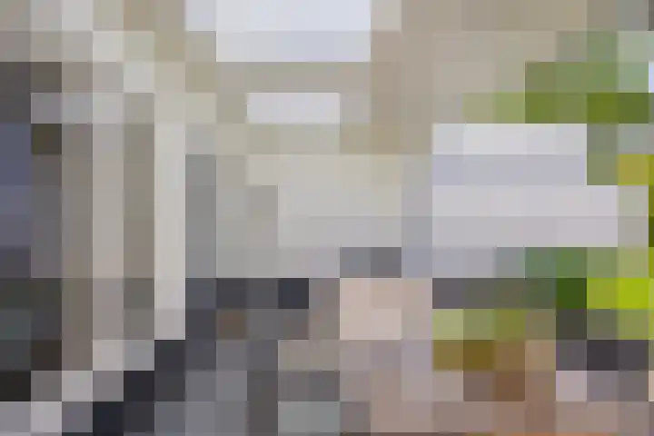 Willibrorduslaan 123 Waalre thumbnail 36