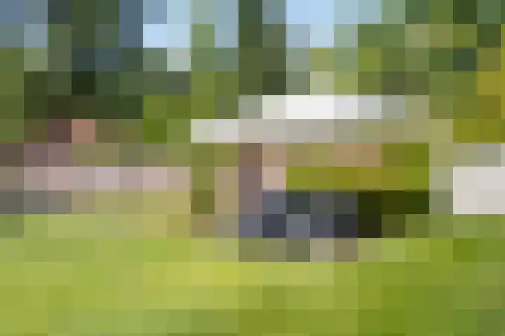 Willibrorduslaan 123 Waalre thumbnail 37