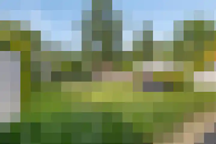 Willibrorduslaan 123 Waalre thumbnail 38