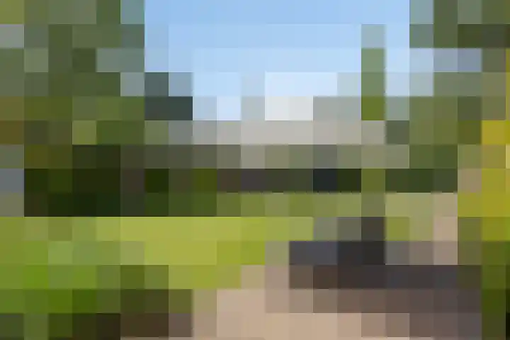 Willibrorduslaan 123 Waalre thumbnail 39