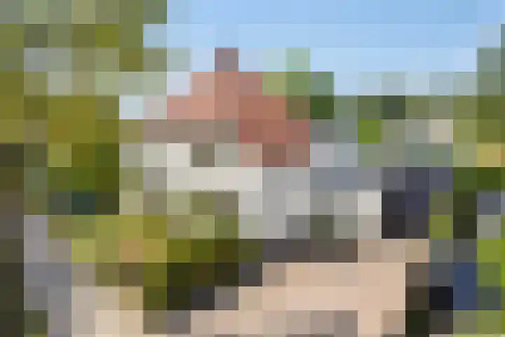Willibrorduslaan 123 Waalre thumbnail 4
