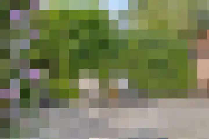 Willibrorduslaan 123 Waalre thumbnail 41
