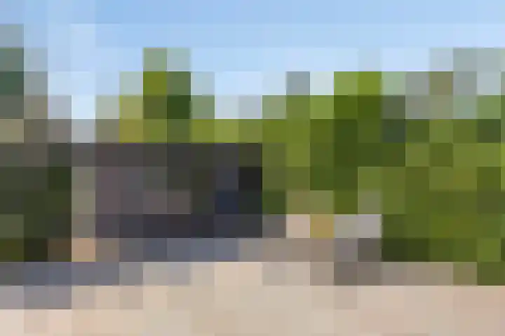 Willibrorduslaan 123 Waalre thumbnail 42