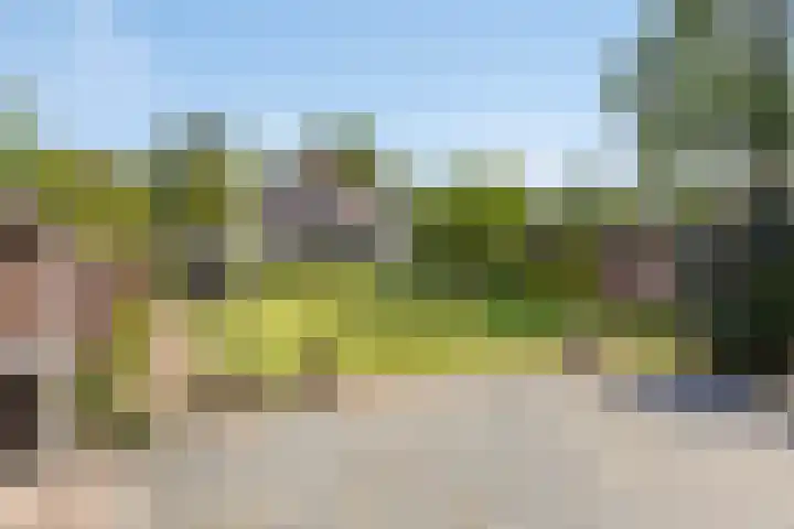 Willibrorduslaan 123 Waalre thumbnail 43