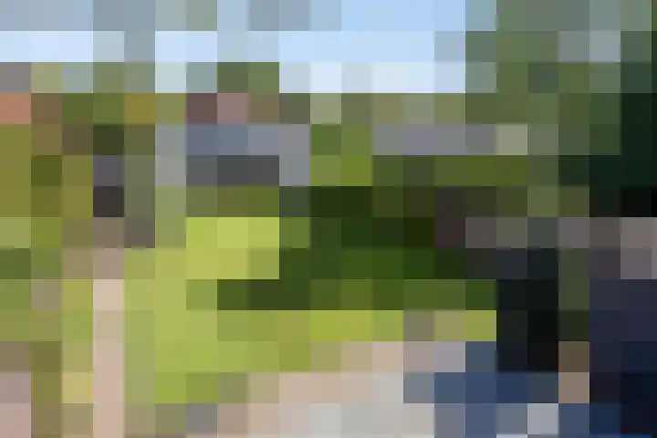 Willibrorduslaan 123 Waalre thumbnail 44