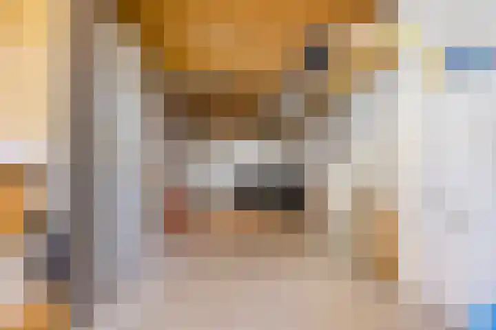 Willibrorduslaan 123 Waalre thumbnail 45