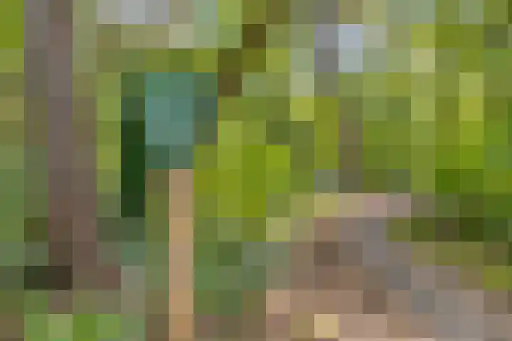Willibrorduslaan 123 Waalre thumbnail 50
