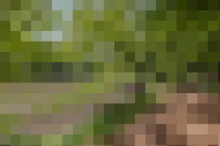 Willibrorduslaan 123 Waalre thumbnail 51