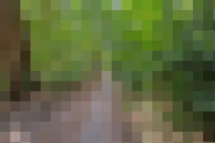 Willibrorduslaan 123 Waalre thumbnail 53