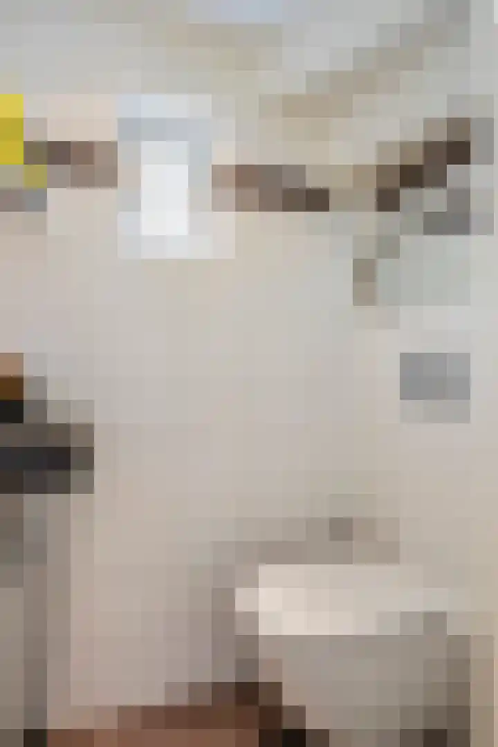 Willibrorduslaan 123 Waalre thumbnail 8
