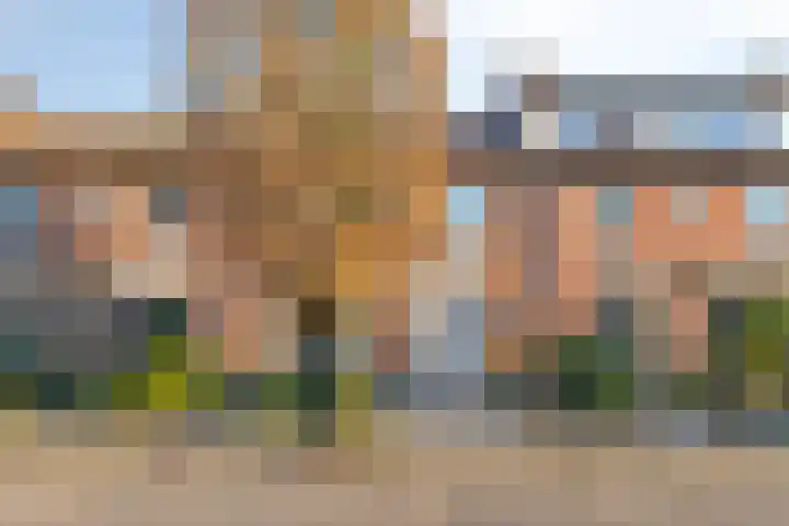 Willibrorduslaan 144 Valkenswaard thumbnail 23