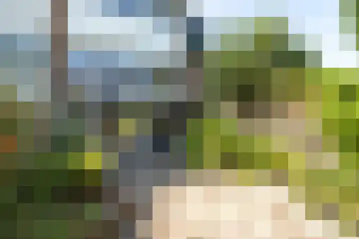 Willibrorduslaan 152 Hilversum thumbnail 27