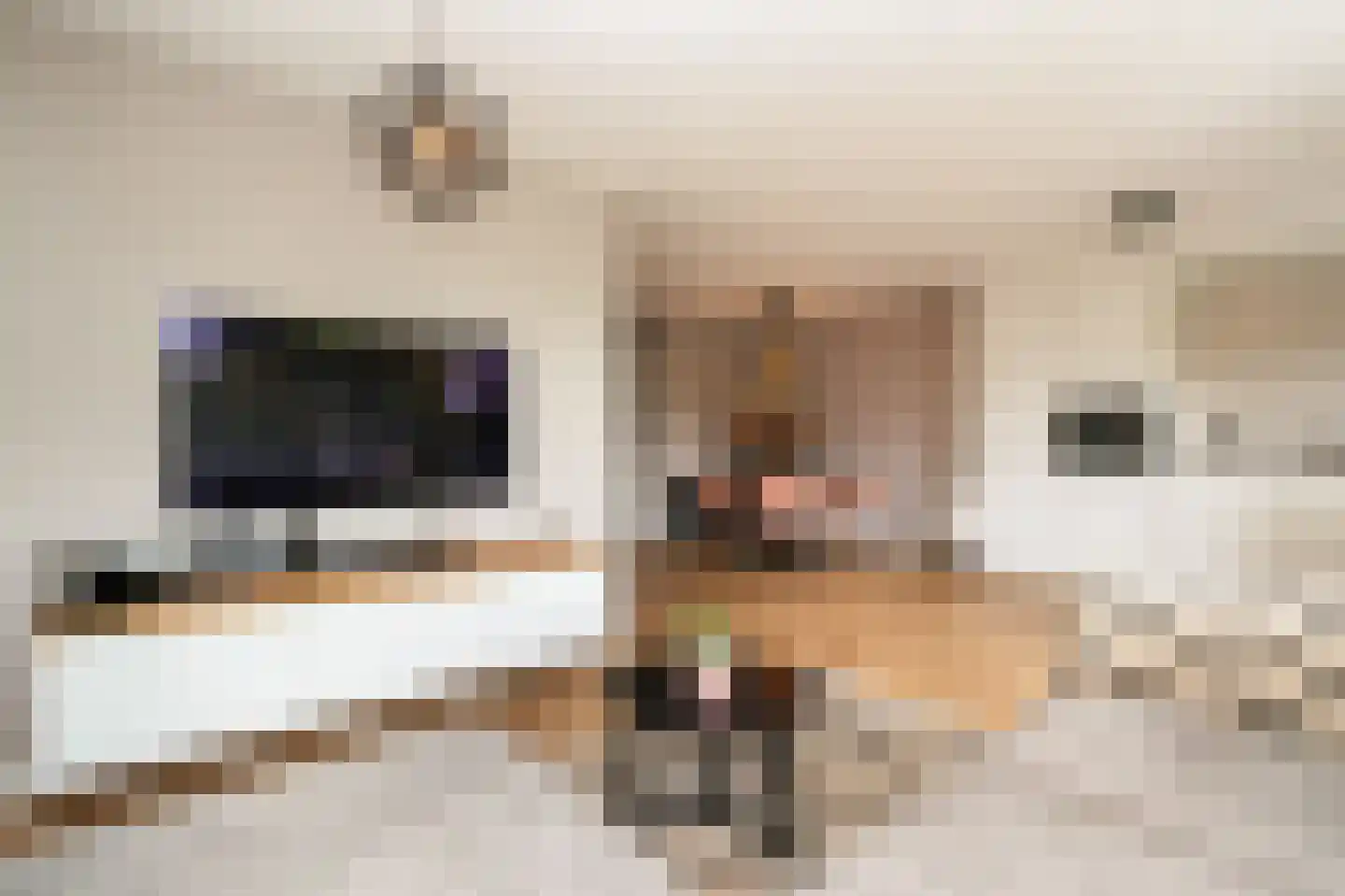 Willibrorduslaan 155 Hilversum thumbnail 5