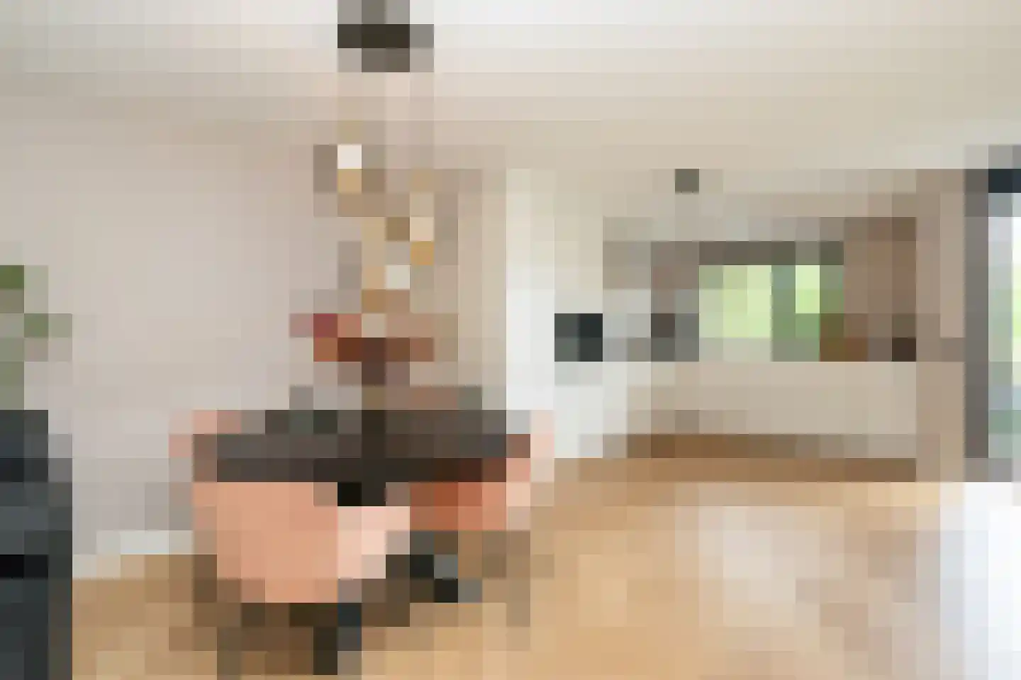 Willibrorduslaan 155 Hilversum thumbnail 7