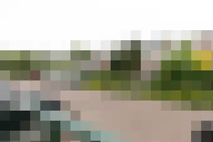 Willibrorduslaan 158 Hilversum thumbnail 18