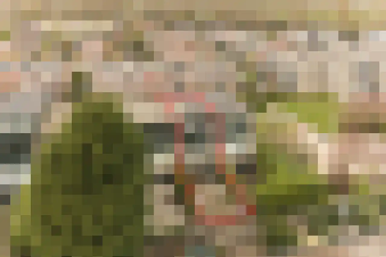 Willibrorduslaan 162 Hilversum thumbnail 39