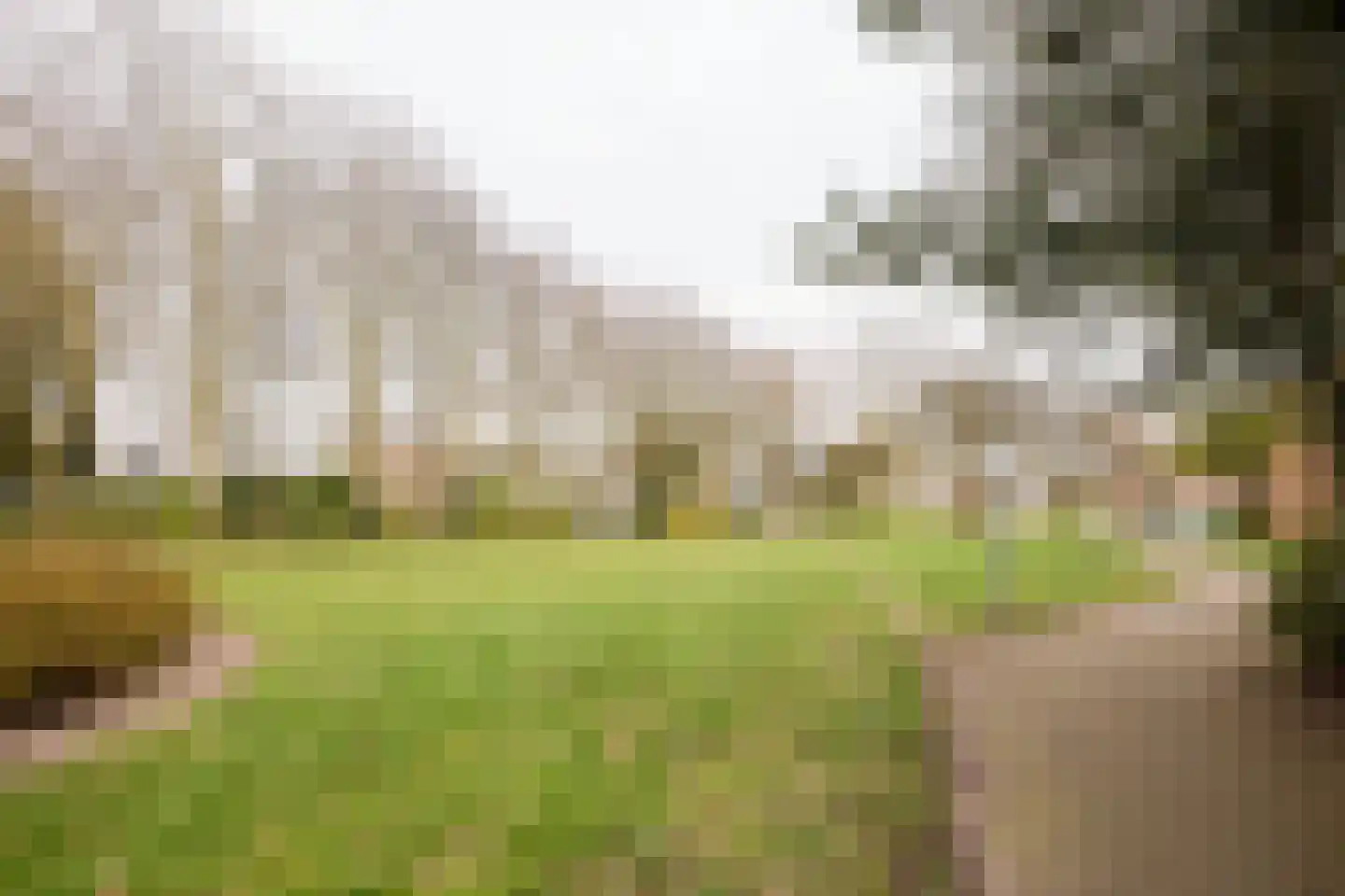 Willibrorduslaan 162 Hilversum thumbnail 41