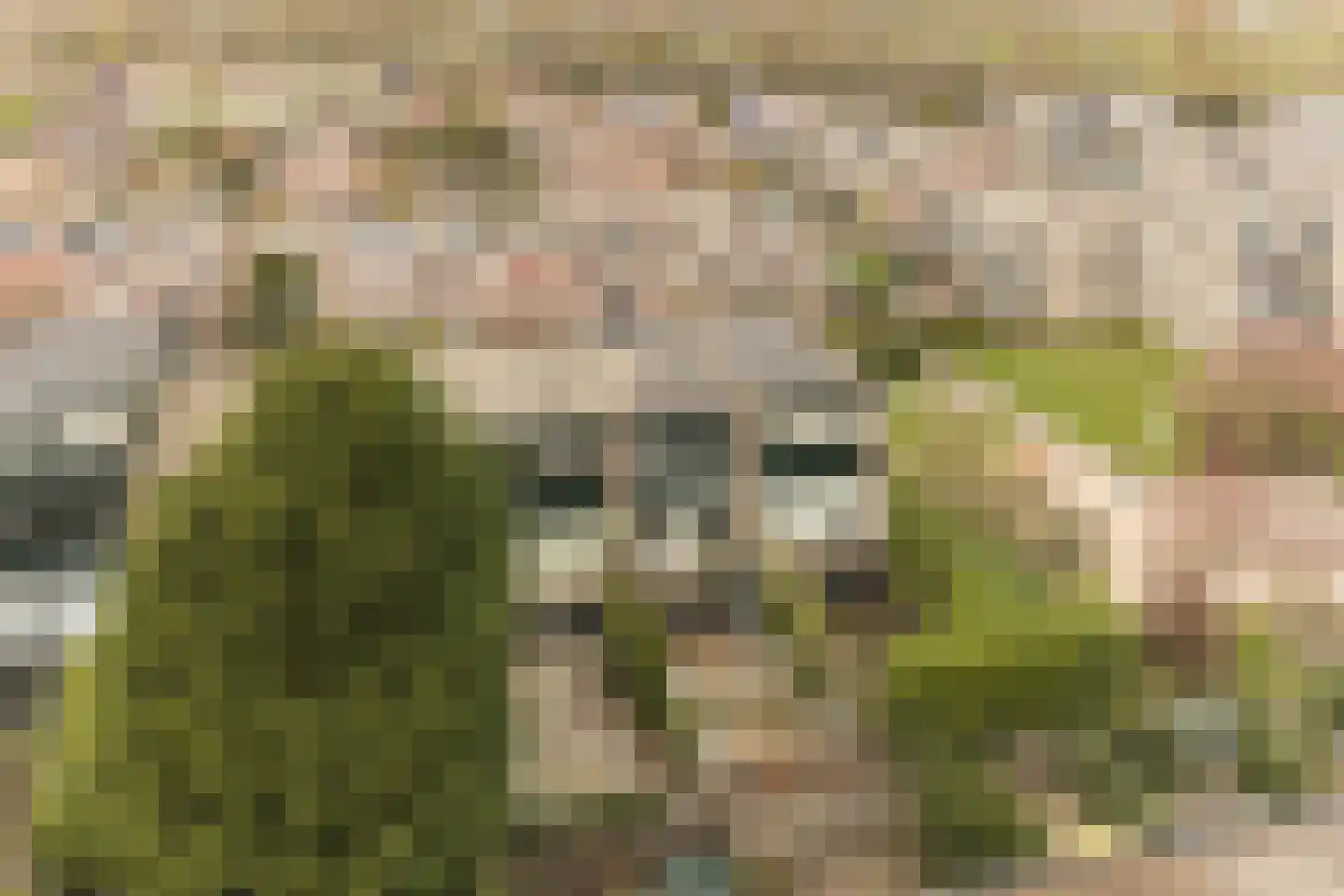 Willibrorduslaan 162 Hilversum thumbnail 42