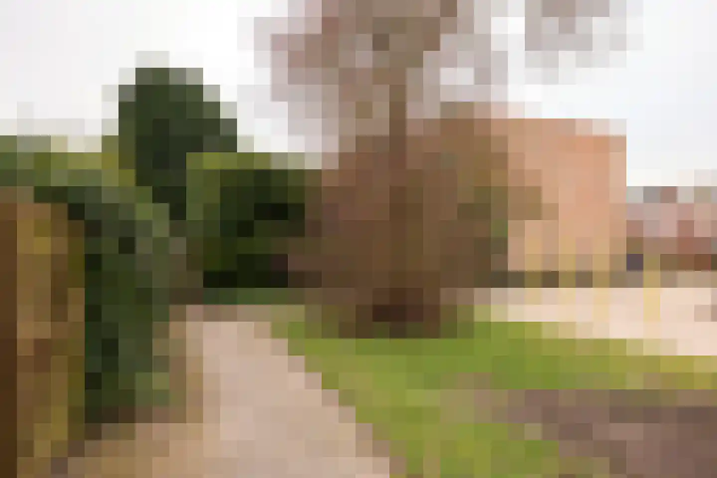 Willibrorduslaan 162 Hilversum thumbnail 43