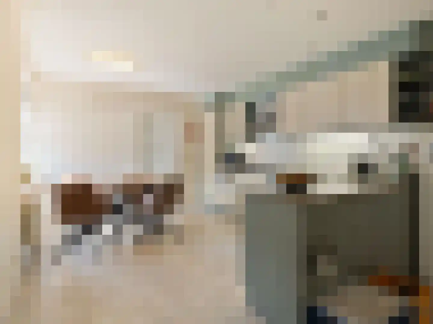 Willibrorduslaan 21 Eersel thumbnail 14