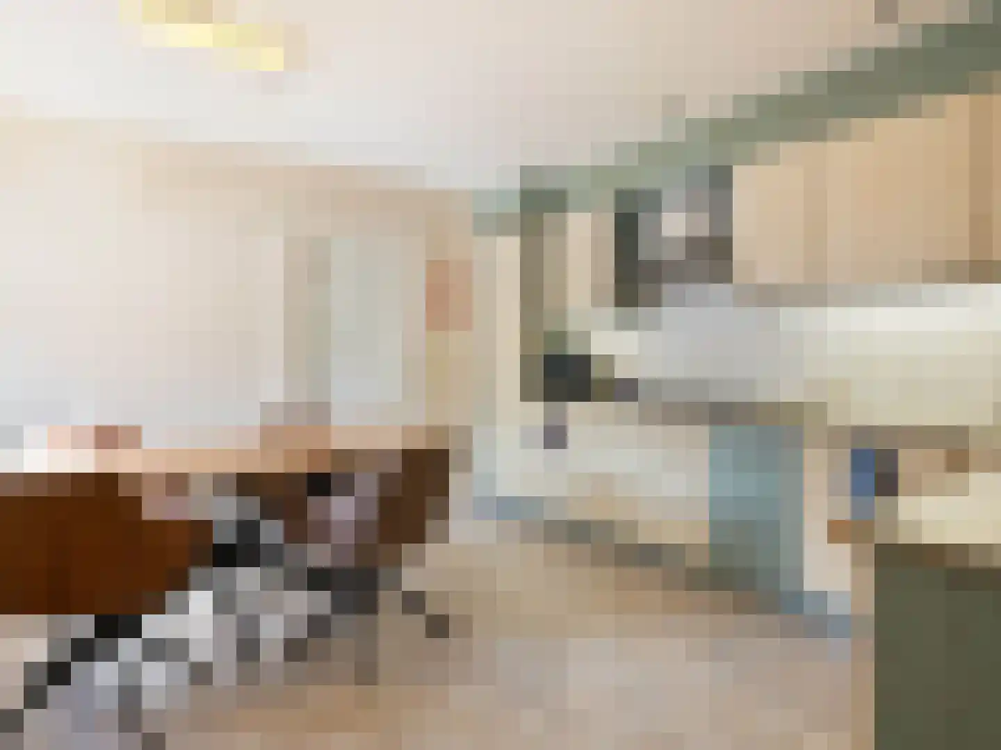 Willibrorduslaan 21 Eersel thumbnail 15