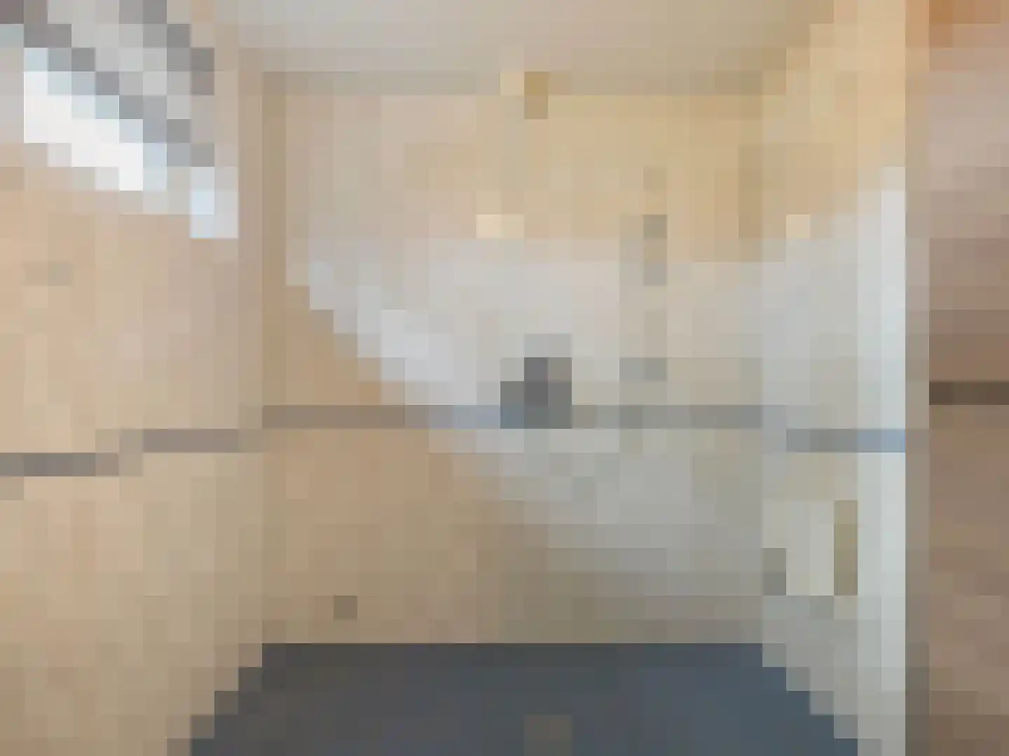 Willibrorduslaan 21 Eersel thumbnail 17