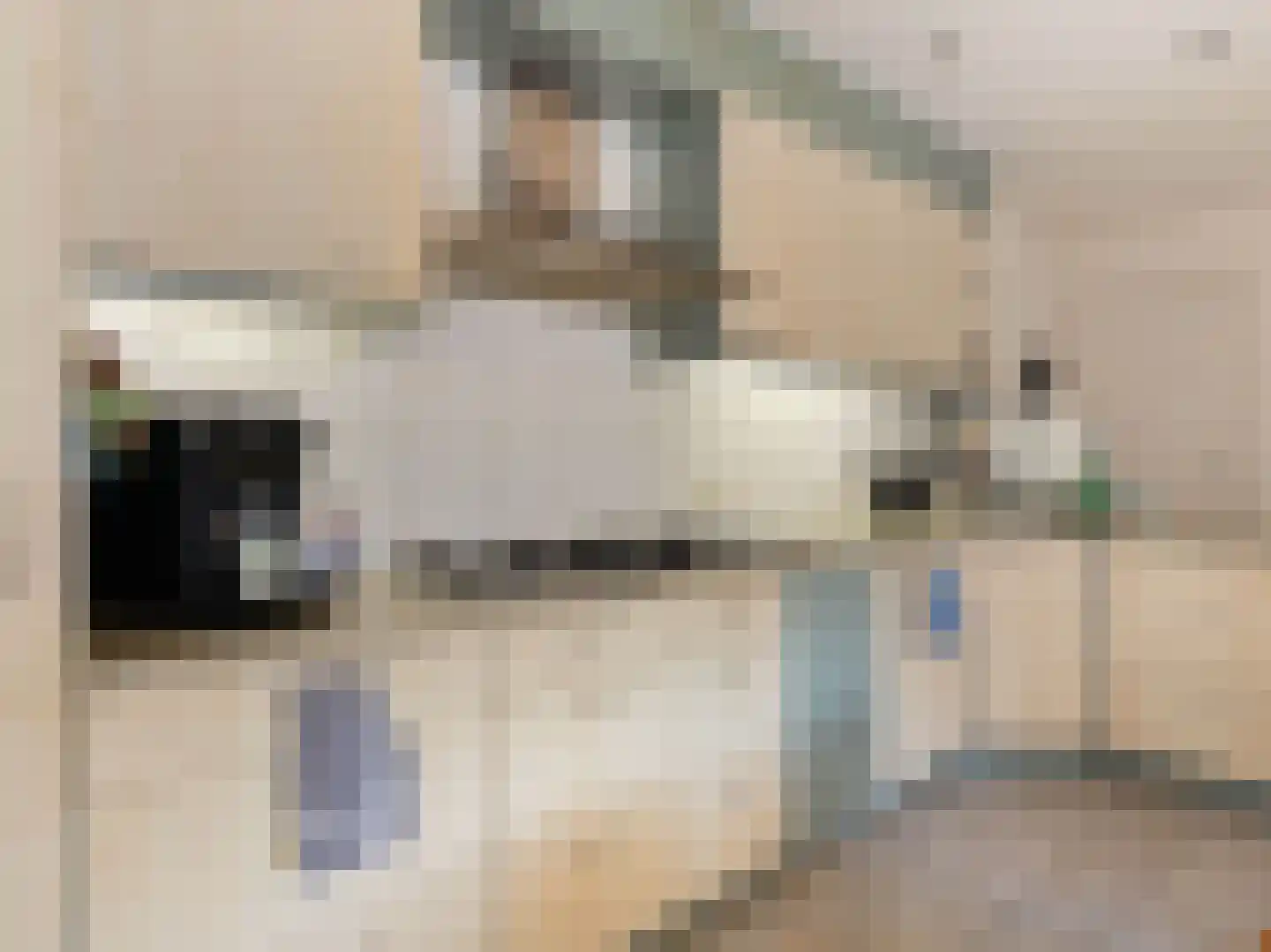 Willibrorduslaan 21 Eersel thumbnail 17
