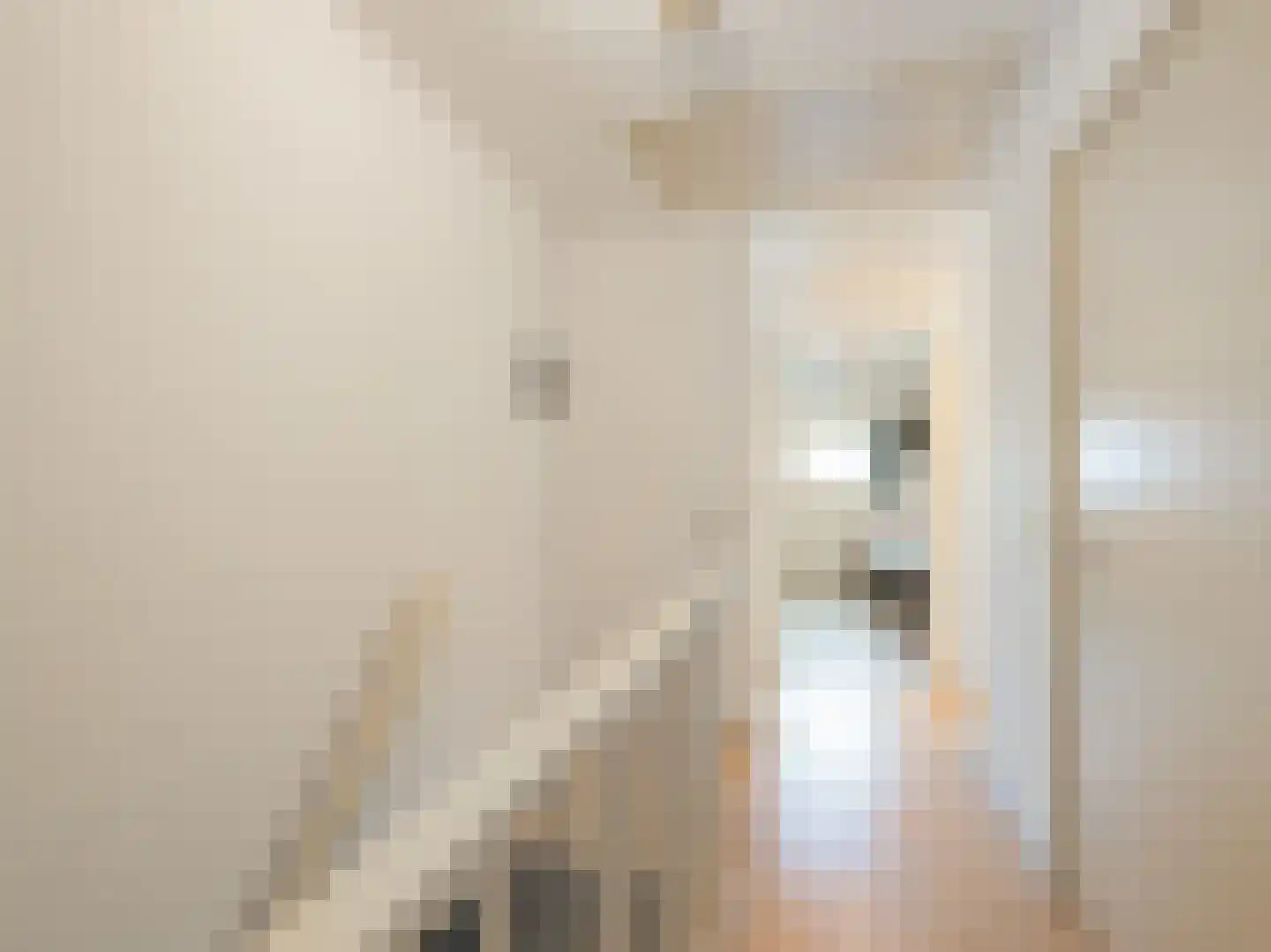 Willibrorduslaan 21 Eersel thumbnail 21