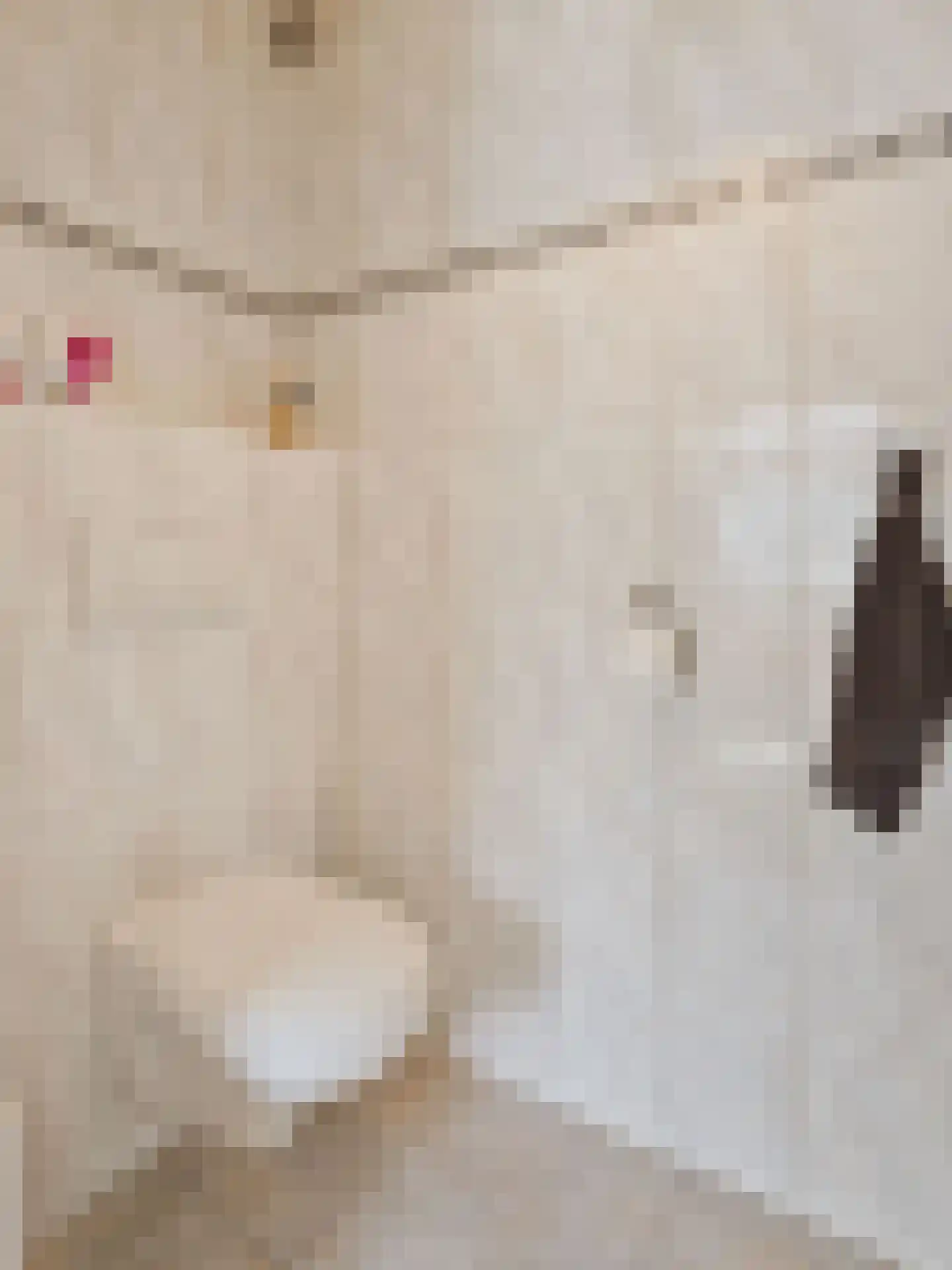 Willibrorduslaan 21 Eersel thumbnail 22