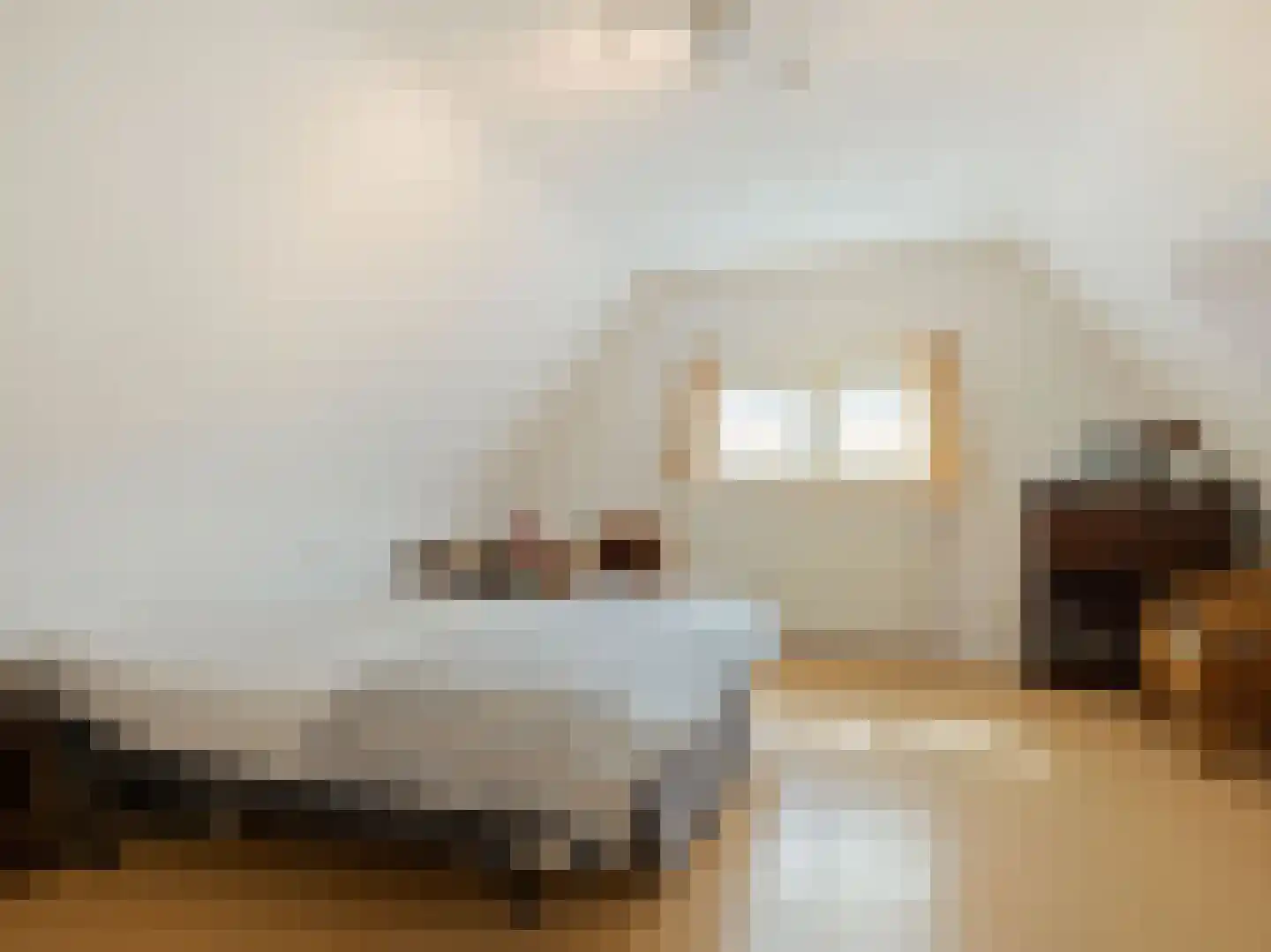Willibrorduslaan 21 Eersel thumbnail 29