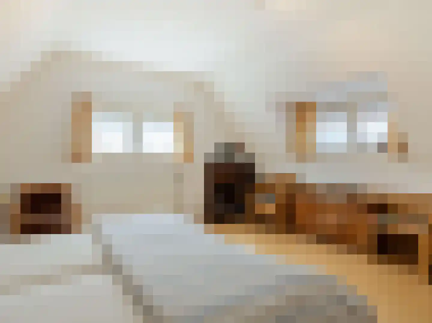 Willibrorduslaan 21 Eersel thumbnail 30