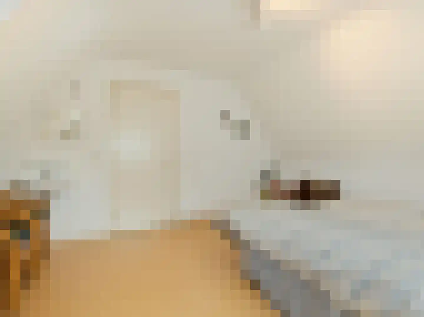 Willibrorduslaan 21 Eersel thumbnail 31