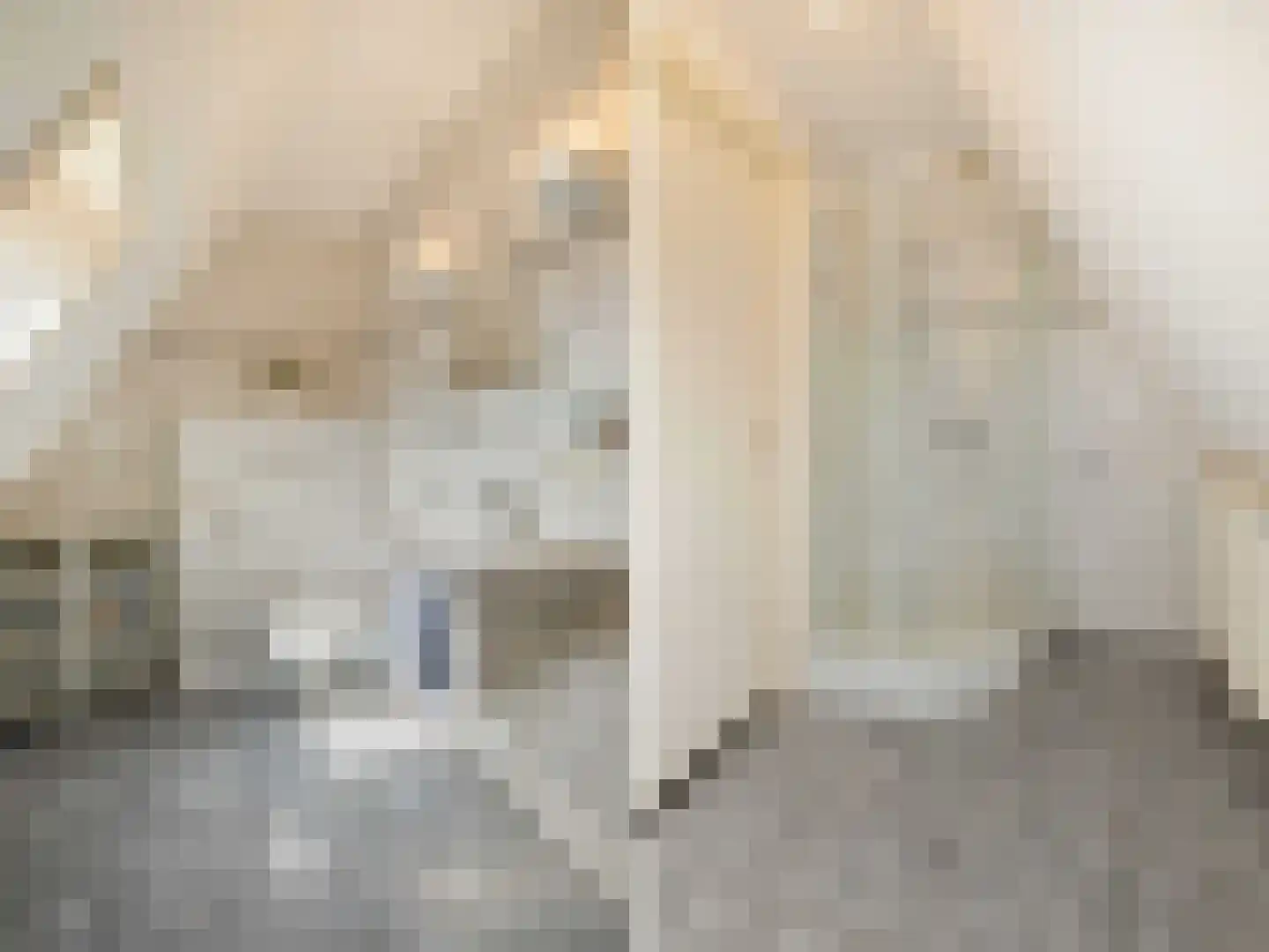 Willibrorduslaan 21 Eersel thumbnail 33