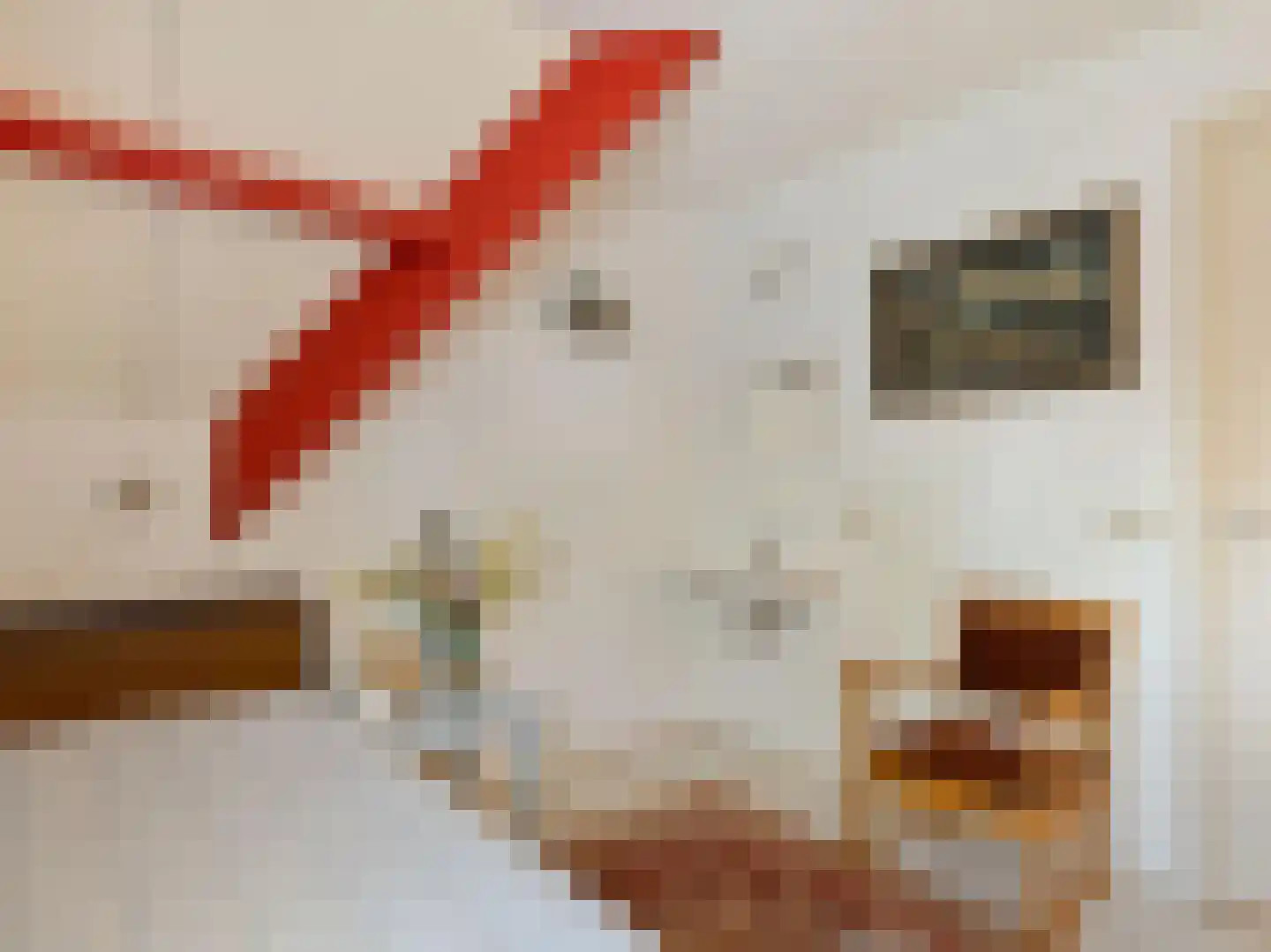 Willibrorduslaan 21 Eersel thumbnail 33
