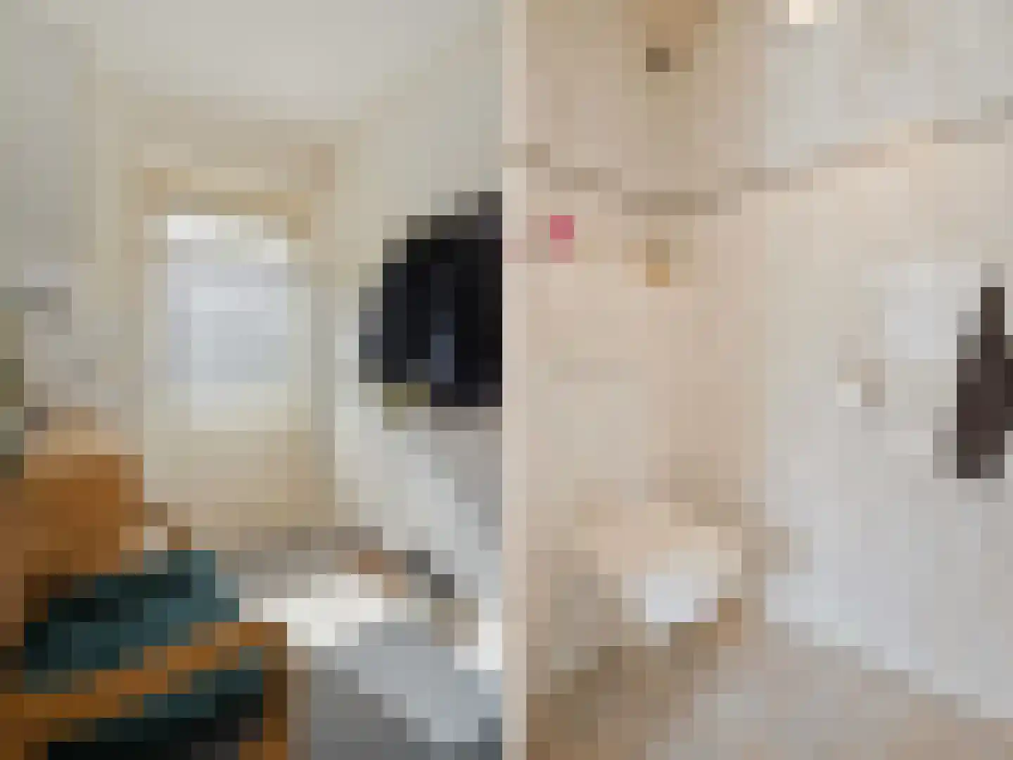 Willibrorduslaan 21 Eersel thumbnail 5