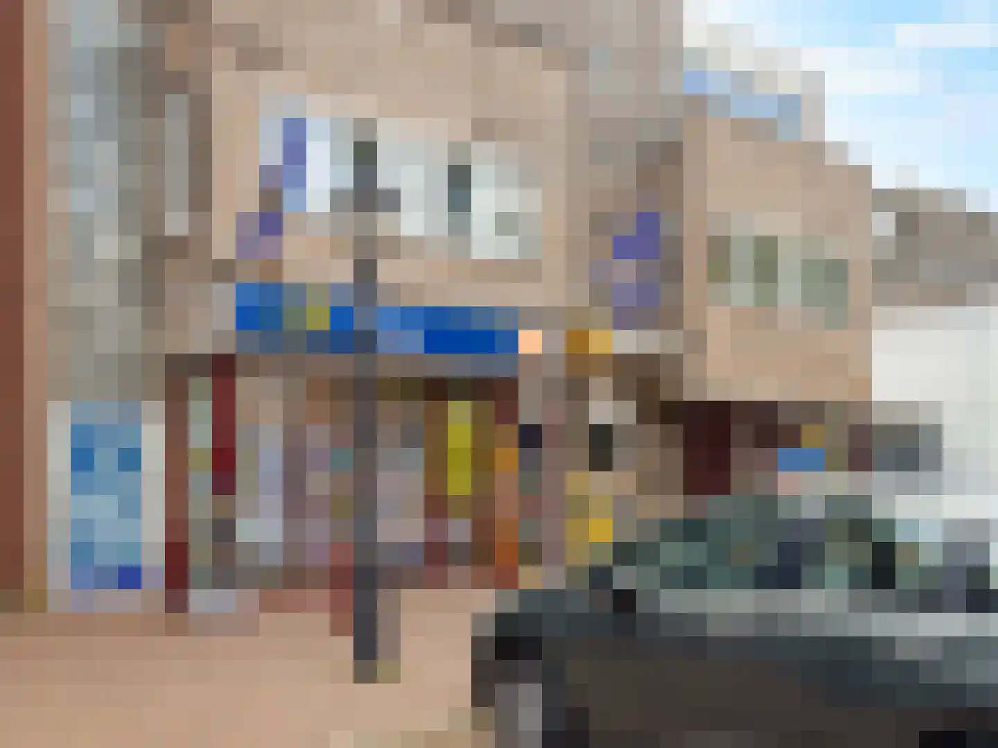 Willibrorduslaan 21 Eersel thumbnail 51