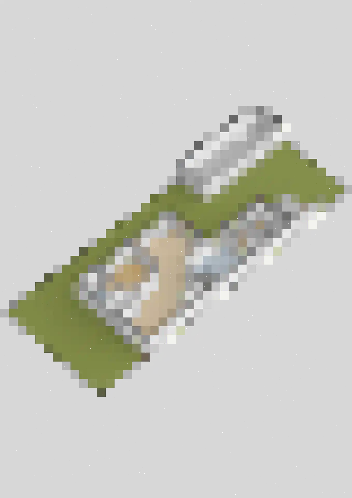 Willibrorduslaan 21 Eersel thumbnail 53