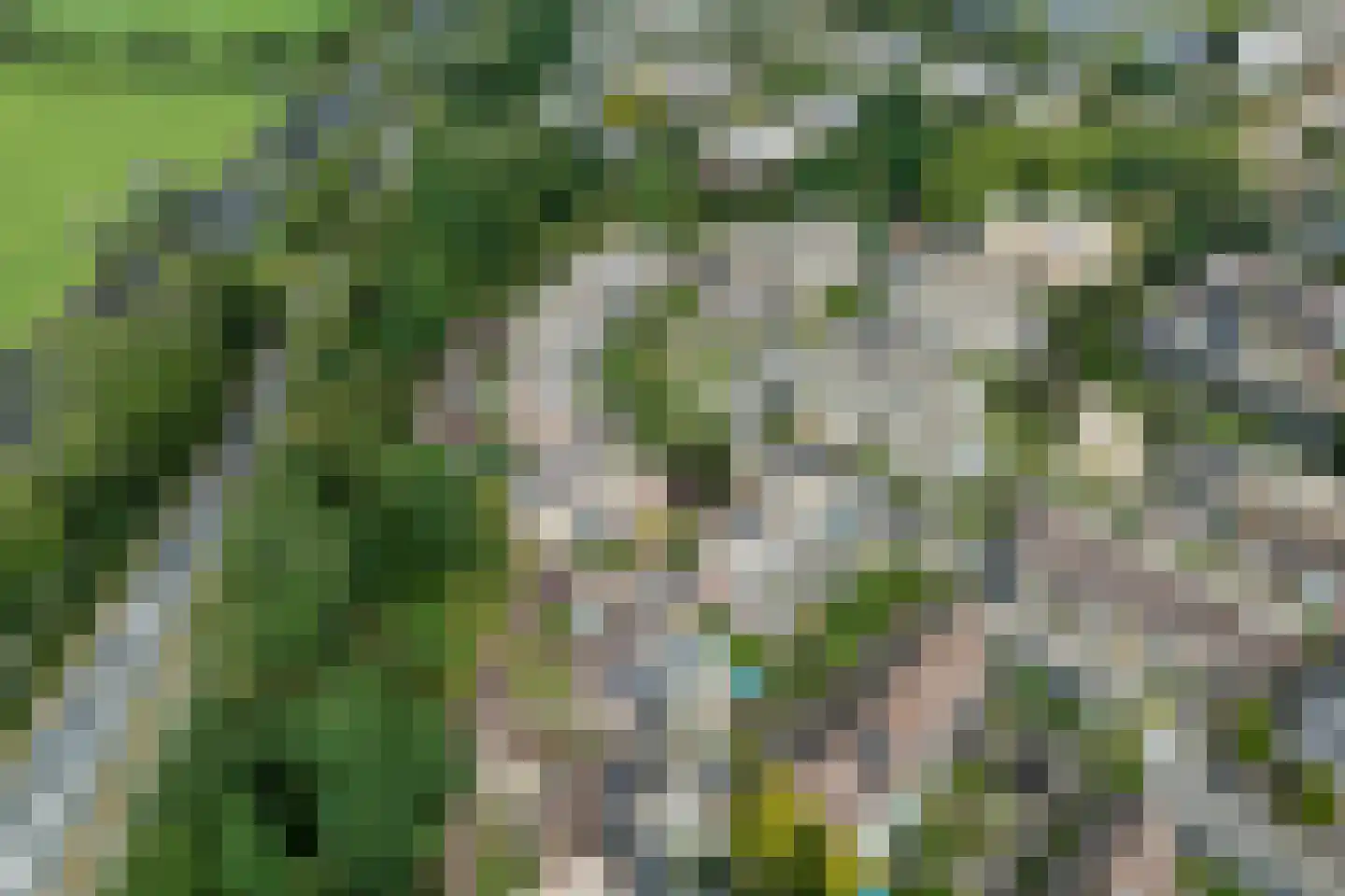 Willibrorduslaan 210 Hilversum thumbnail 34