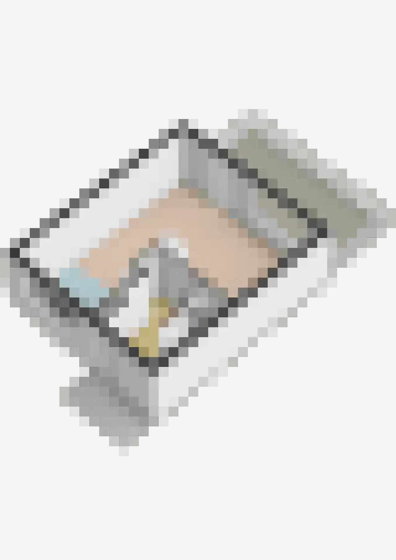 Willibrorduslaan 210 Hilversum thumbnail 36