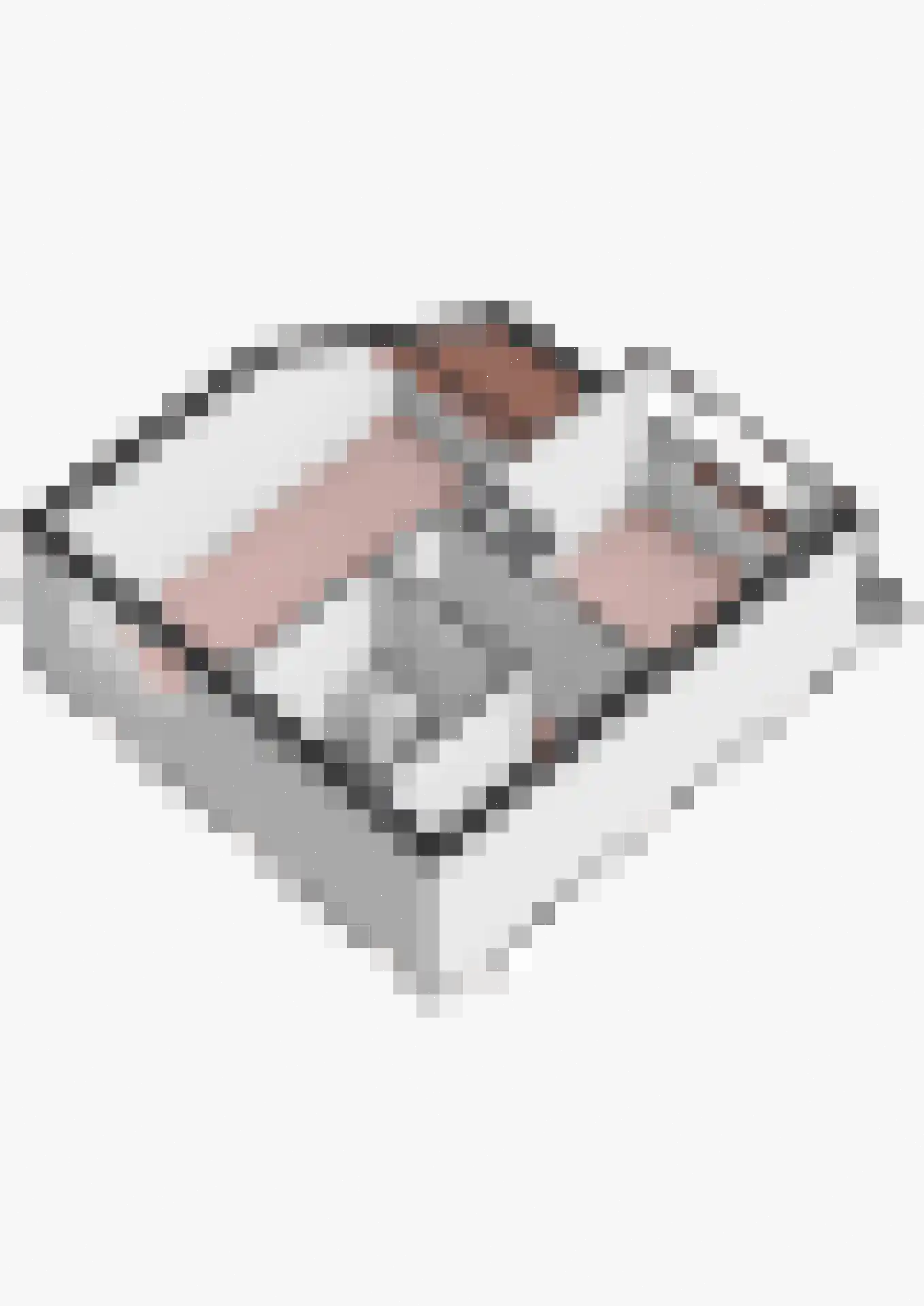 Willibrorduslaan 210 Hilversum thumbnail 39