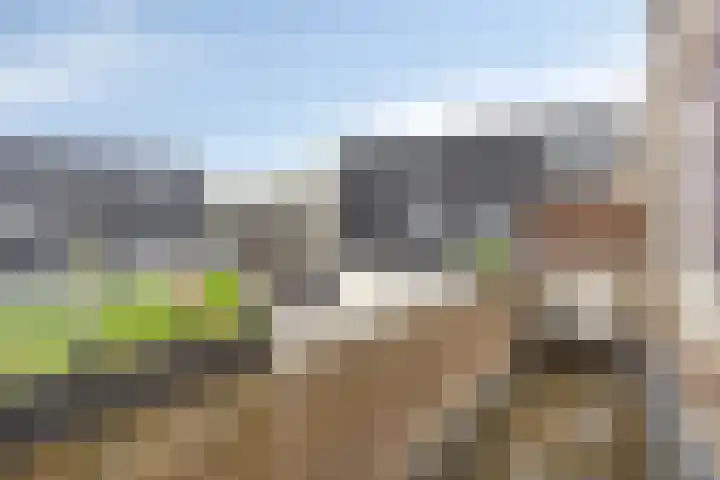 Willibrorduslaan 25 b Waalre thumbnail 18