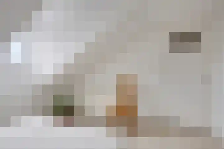 Willibrorduslaan 25 b Waalre thumbnail 23