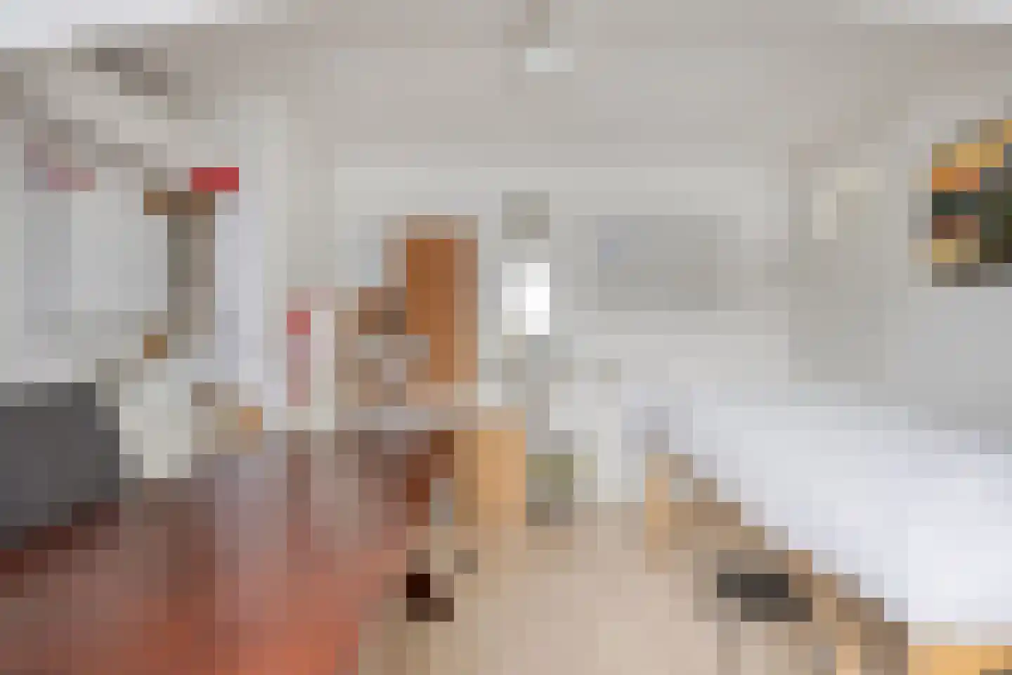 Willibrorduslaan 25 b Waalre thumbnail 26