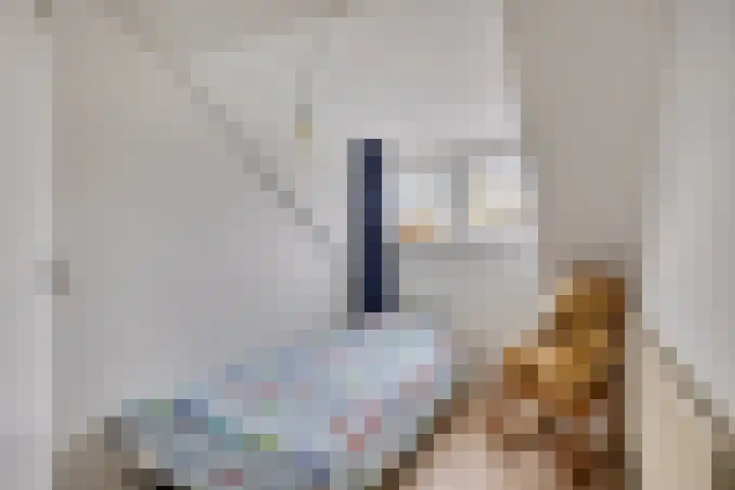 Willibrorduslaan 25 b Waalre thumbnail 27