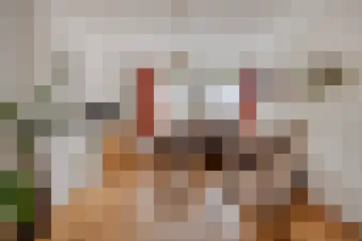 Willibrorduslaan 25 b Waalre thumbnail 7