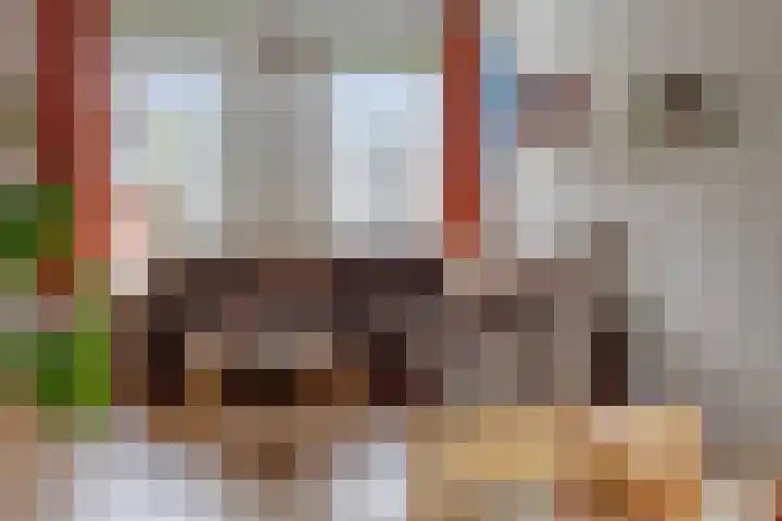 Willibrorduslaan 25 b Waalre thumbnail 8