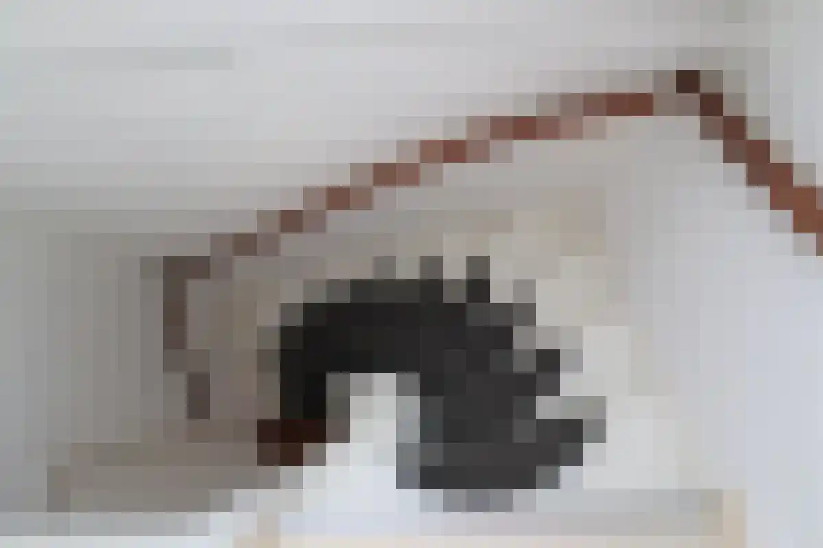 Willibrorduslaan 25 Waalre thumbnail 4